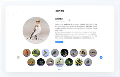 交互設(shè)計(jì)、UI設(shè)計(jì)、網(wǎng)站設(shè)計(jì)
