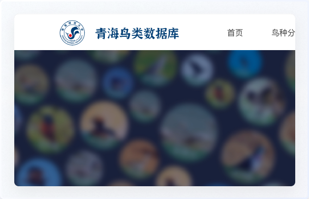 交互設(shè)計(jì)、UI設(shè)計(jì)、網(wǎng)站設(shè)計(jì)